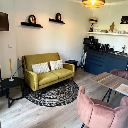 The West Wing Apartment Bloemendaal